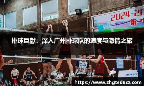 yy体育