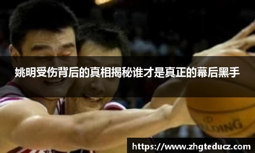 易游体育