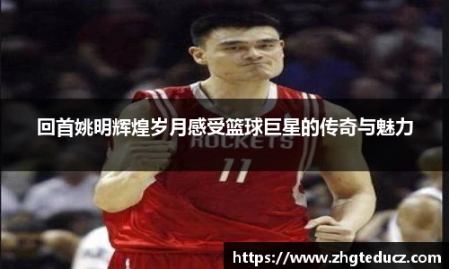 yy易游