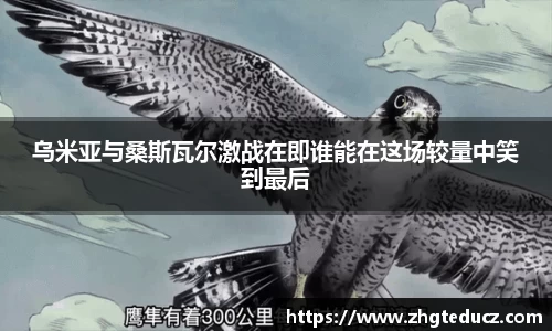 yy易游