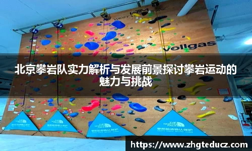 yy体育